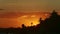 Closeup large yellow sun setting down behind palm trees silhouettes on seashore