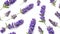 closeup of lavender flowers on plain white ai generated