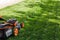 Closeup lawn mower or grass cutter mowing green grass in garden in sunny day. Eco organic environmental sustainability