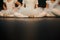 Closeup legs of ballerinas during a performance.Ballet dancers