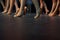 Closeup legs of ballerinas during a performance.Ballet dancers