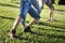 Closeup legs of family playing football