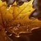 Closeup of light golden maple leaf in bright image. Autumn leaf.