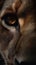 Closeup lion eye, portrait of animal on dark background.
