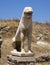 Closeup of a Lion, Terrace of the Lions in Delos