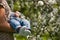 Closeup of little baby in sneakers on the hands of his young mother. Mum with child in the blooming apple garden