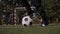Closeup of little boy soccer player dribbles the ball and stops it near the goal