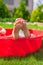 Closeup of little kid\'s legs in small red pool