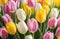 closeup of lively spring colorful flowers bouquet. many pink, white, yellow tulips with blossom
