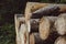 Closeup of logging timbers, felled and cut trees