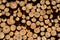 Closeup of logs of trees in nature - cutted logs -