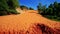 Closeup Long Orange Sand Hill Slope among Trees