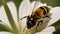 A closeup look of detailed honeybee, AI generated