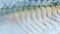 Closeup of mackerel skin textured.