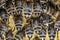 Closeup macro of bees on wax frame honeycomb in apiary Honey bee hive with selective focus