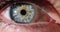 Closeup macro blue eyes opening human iris natural beauty