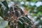 Closeup macro cactus details stock photo