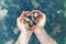 Closeup macro of child hands palms holding many little small forest garden yellow striped snails molluscs