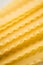 Closeup macro fresh yellow crisp macaroni pasta