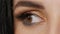Closeup macro human eye woman blinking slow motion close up brown hazel