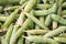 Closeup macro pile of fresh green peas ready for cleaning