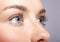 Closeup macro portrait of female face. Human woman open blue eyes