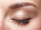 Closeup macro shot of closed human female eye with natural day f