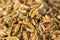 Closeup macro shot of dried fennel seeds