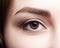Closeup macro shot of human brown female eye. Woman with natura