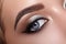 Closeup Macro of Woman Face with Cat-Eyes Make-up. Fashion Celebrate Makeup, Glowy Clean Skin, perfect Shapes of Brows