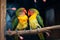 Closeup magic Colorful and beautiful love birds captivate the eye