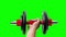 Closeup male arm lifting dumbbell workout green screen looping