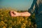 Closeup of male farmer hand examining oilseed rape crops in bloom