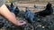 Closeup of a male hand feeding a flock of pigeons in the park in spring.