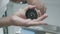 Closeup of male hands spin the mill with pepper in the restaurant kitchen