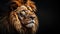 Closeup of a male lions head on black background created with Generative AI