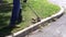 Closeup man hand using lawn trimmer mower cutting grass on green selective focus at hand