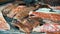 Closeup man hands cooking lamb ribs on barbeque grill. Man grilling meat.