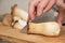 Closeup of man hands cutting king trumpet mushrooms pleurotus eryngii