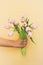 Closeup of man`s hand holding bouquet of gentle pink tulips on beige background