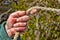 Closeup of man`s hand working gardener keeps the rope. Male hand is calloused and bruised. Tinted.