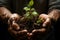 Closeup of Man\\\'s Hands Holding Small Seedling in Soil (AI generated)