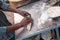 Closeup of man\'s hands making chapati at streetside restaurant i