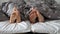 Closeup of man and woman\'s feet lying on a soft bed and gently touching each other. Concept of love, affection.