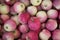 Closeup of many lower grade red apples on the shelf display stand for sale in select local grocery store for background. Imperfect