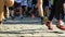 Closeup marathon runners legs