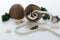 Closeup of marine rope, seashell, green plant, coconut shell.Concept of summer vacation near the ocean