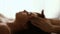 Closeup masseur doing facial massage woman blurry