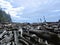 A closeup of a massive pile of large driftwood along a remote beach during the evening on the West Coast Trail, Vancouver Island