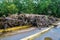 Closeup of the Massive River Debris on the Low Bridge, Roanoke River, Roanoke, VA, USA